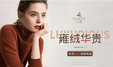 （女裝案例）半年銷售額1588萬，總廣告投入只占8%